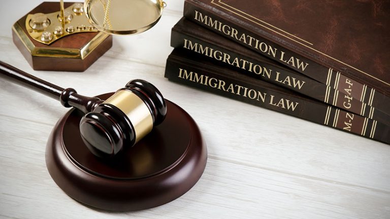 Immigration Lawyers